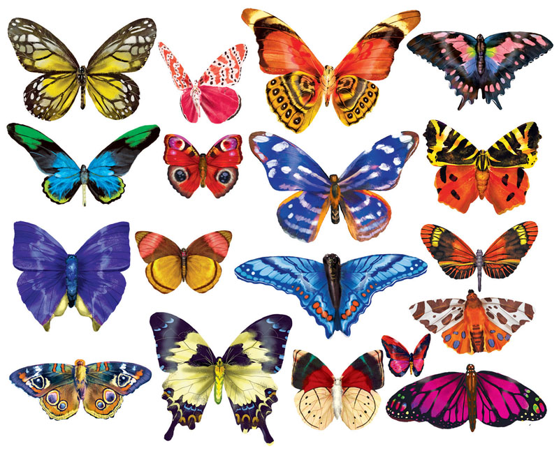 Mini Shaped Butterflies III Puzzle (500 Pieces) | LPF