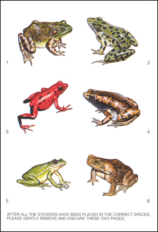 Learning About Frogs and Toads | Dover Publications | 9780486838410