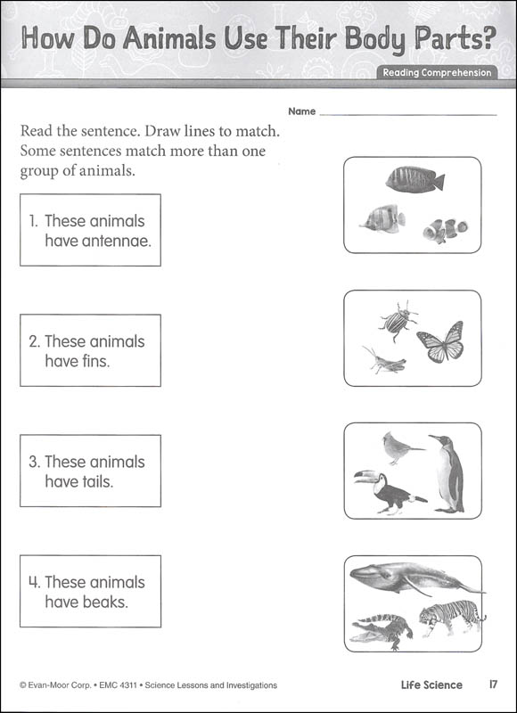 science lessons and investigations grade 1 evan moor 9781645140030