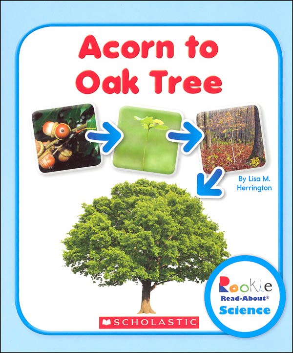 Acorn to Oak Tree (Rookie Read-About Science)