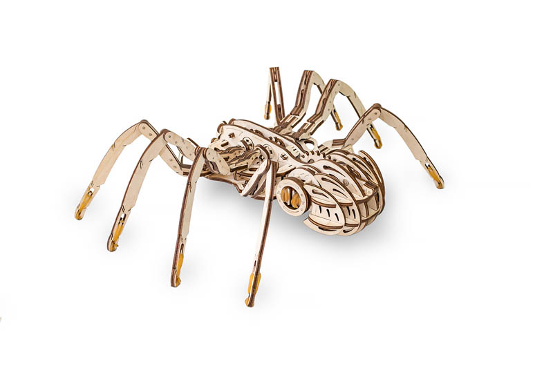 Wooden Pencil Box Spider