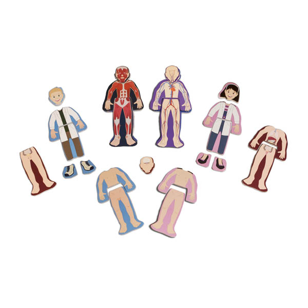 Human Anatomy Wooden Dolls Shure Products