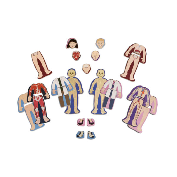 magnetic dummies for dolls