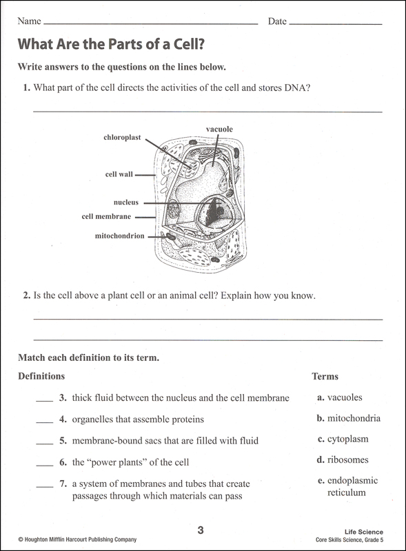 core skills science 2014 grade 5 steck vaughn 9780544268159