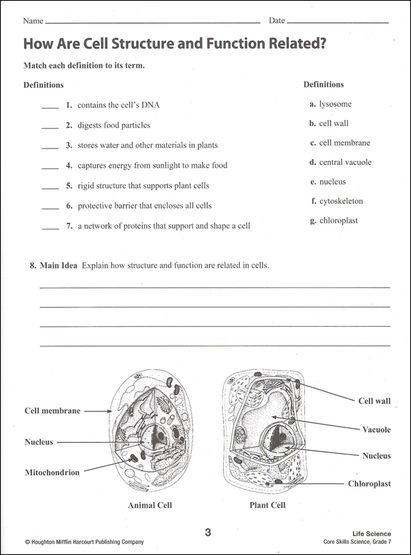 core skills science 2014 grade 7 steck vaughn