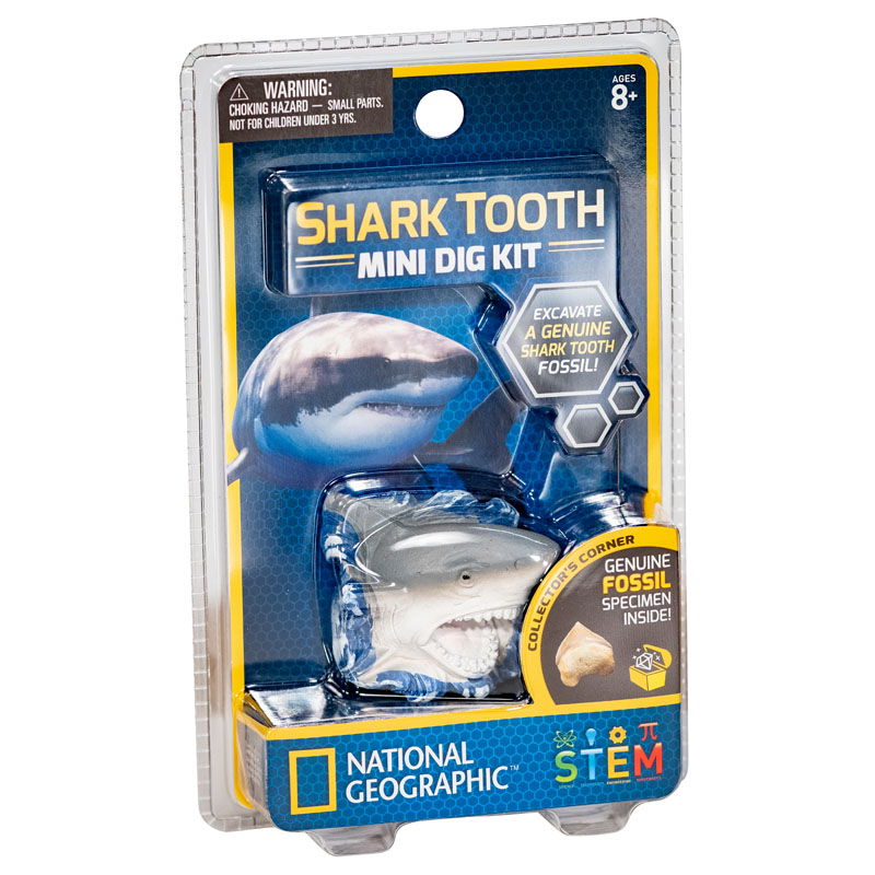 Mini Dig Kit: Shark | Dr. Cool