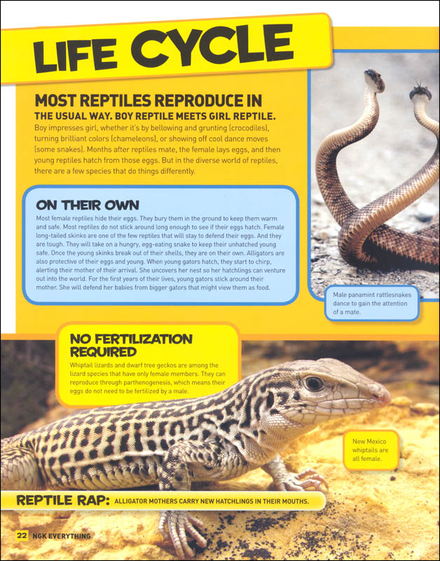 National Geographic Kids Everything Reptiles | National Geographic