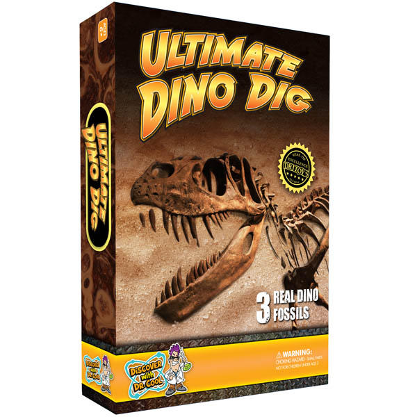 dr cool dinosaur dig kit