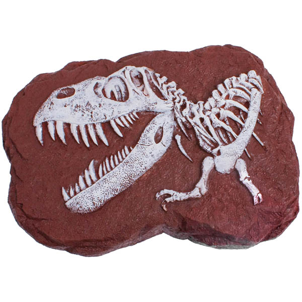 dr cool dinosaur dig kit