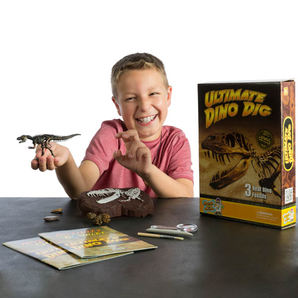 dr cool dinosaur dig kit