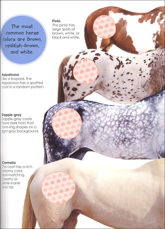 Ultimate Sticker Book Horses and Ponies Dorling Kindersley