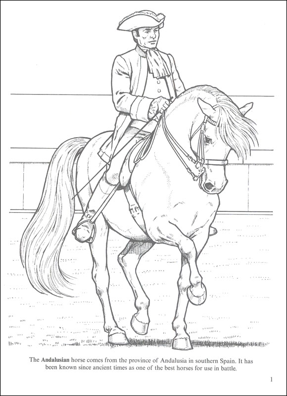 Favorite Horses Coloring Book | Dover Publications | 9780486440101