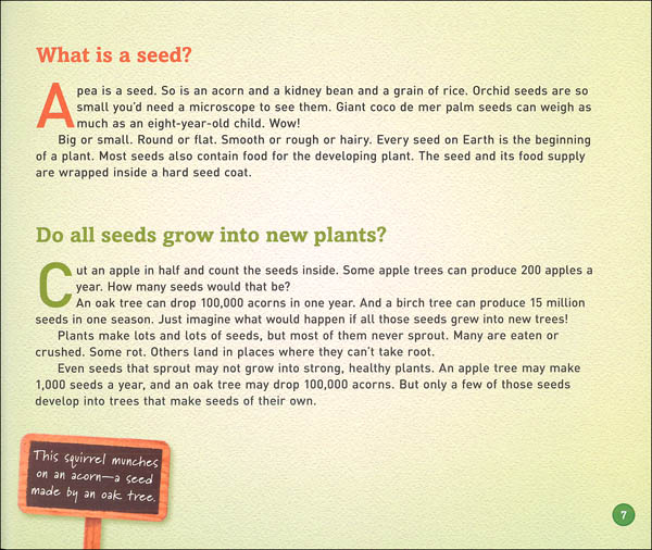 How Does a Seed Sprout? And Other Questions About Plants