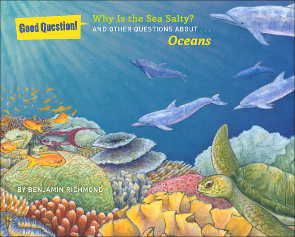 Why Is the Sea Salty? And Other Questions About Oceans (Good Questions!)