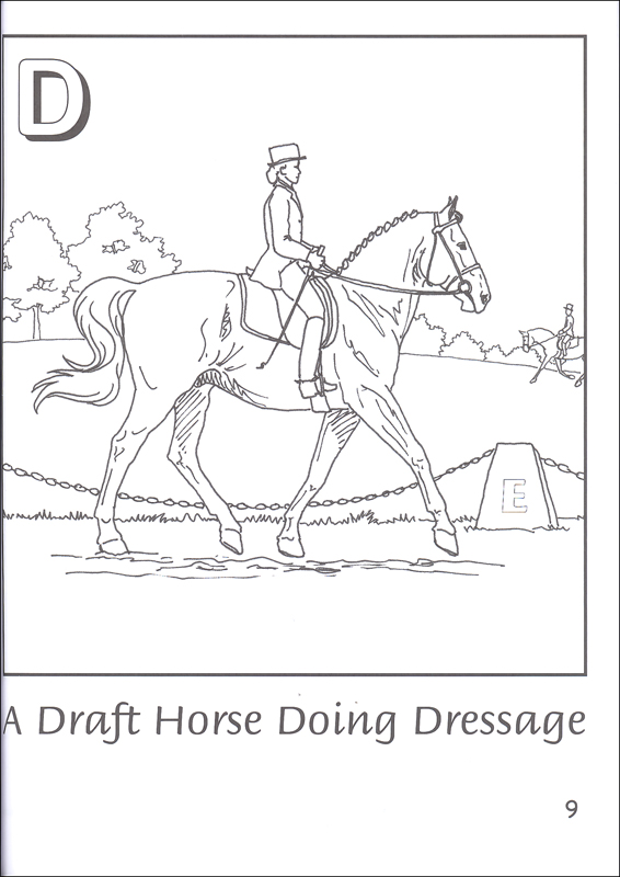 Breyer H is for Horse Coloring - 033091i01 