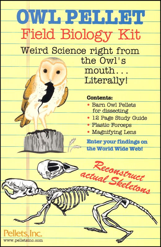 PELLETS INC STUDENT OWL FIELD BIOLOGY KIT 