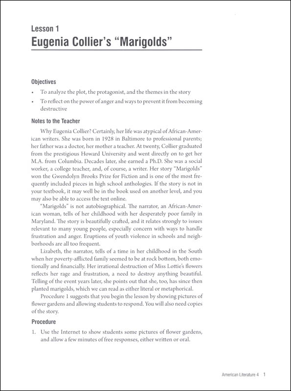 American ethnic literature 4 essay 08 image