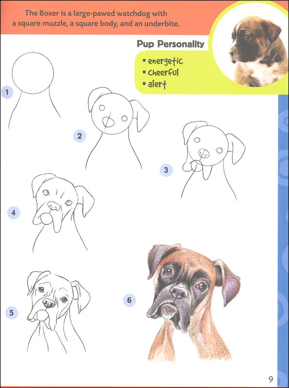 Dogs &amp; Puppies (Learn to Draw) | Walter Foster Publishing | 9781600583902