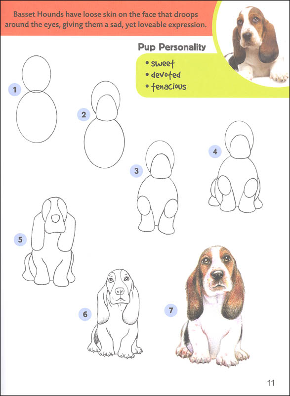 Dogs &amp; Puppies (Learn to Draw) | Walter Foster Publishing | 9781600583902