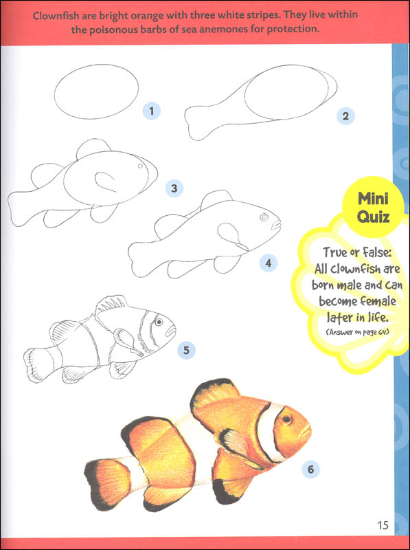 Sea Creatures Learn To Draw Walter Foster Publishing