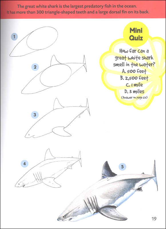  Sea Creatures Learn to Draw Walter Foster Publishing 