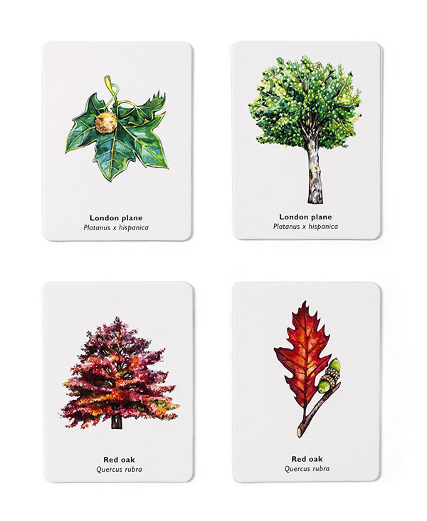 Match A Leaf Tree Memory Game | Laurence King | 9781786272287
