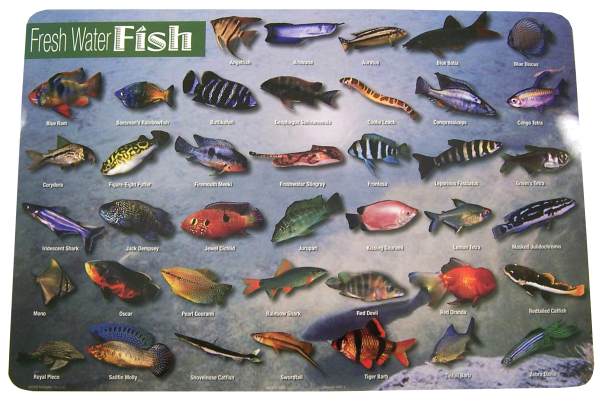 Fresh Water Fish Placemat