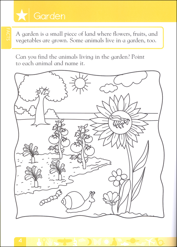 DK Workbooks: Science Kindergarten | Dorling Kindersley | 9781465417275