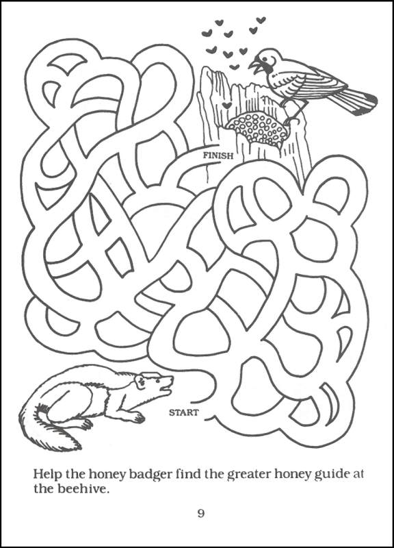 Bird Mazes | Dover Publications | 9780486281124