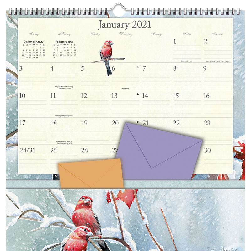 Garden Birds 2021 Note Nook Wall Calendar | Avalanche ...