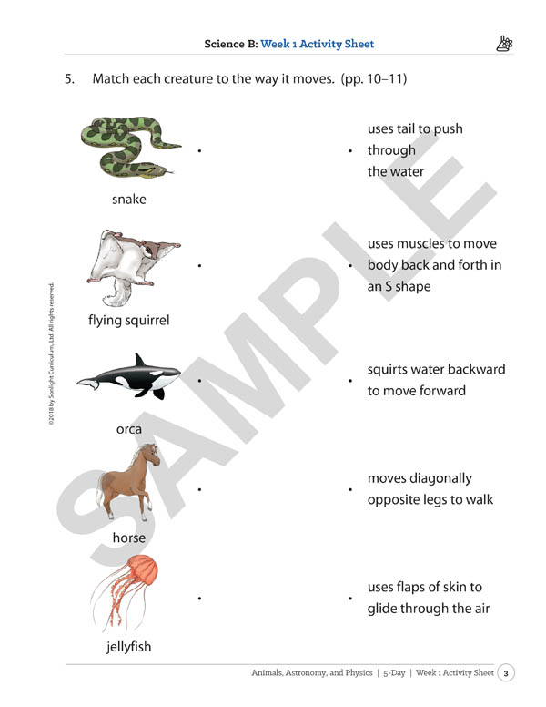 Sonlight Science Level B 5-Day Extra Activity Sheets (2018) | Sonlight