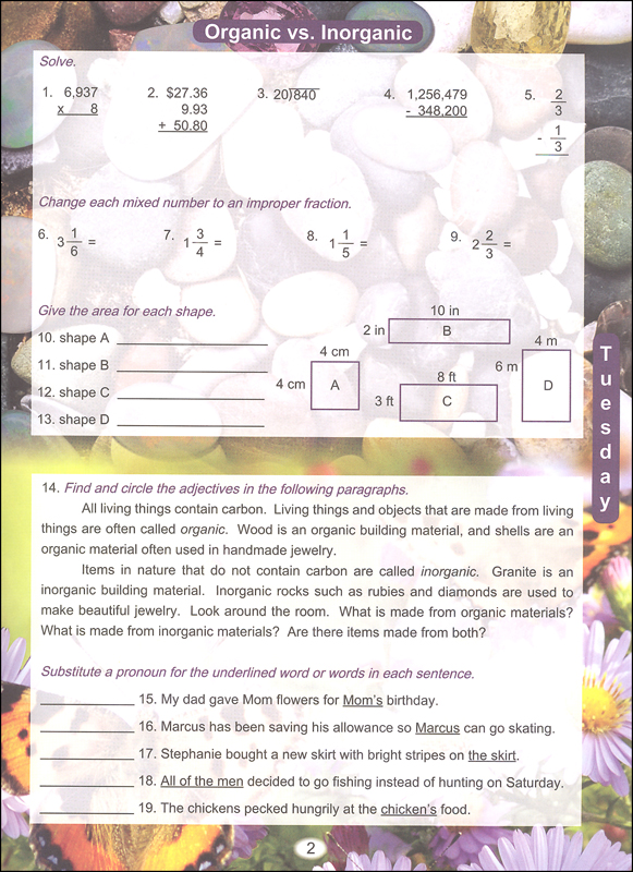 Summer Book 5: For Students Entering Fifth Grade | Summerbook Company