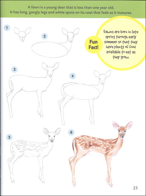 Learn to Draw Forest Animals | Walter Foster Jr. | 9781600584824