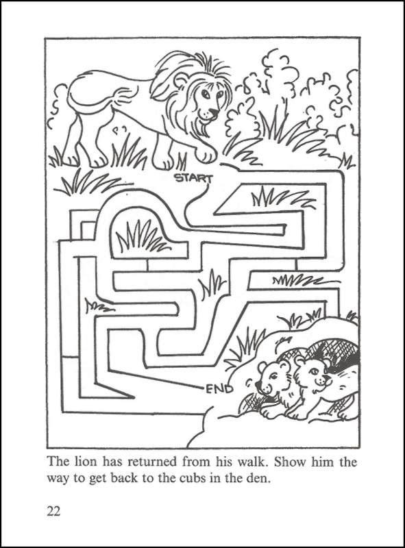 Little Zoo Animal Mazes | Dover Publications | 9780486444406