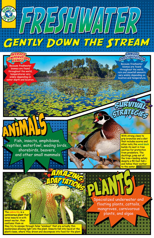 Biomes Posters set of 8 (11" x 17") | North Star Teacher Resources