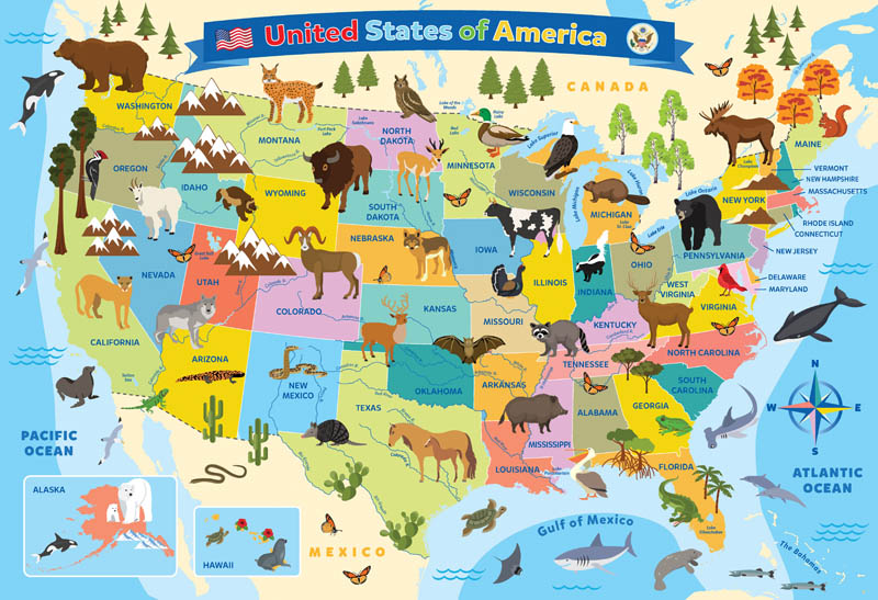 Illustrated Map of the United States of America Puzzle - 100 pieces ...