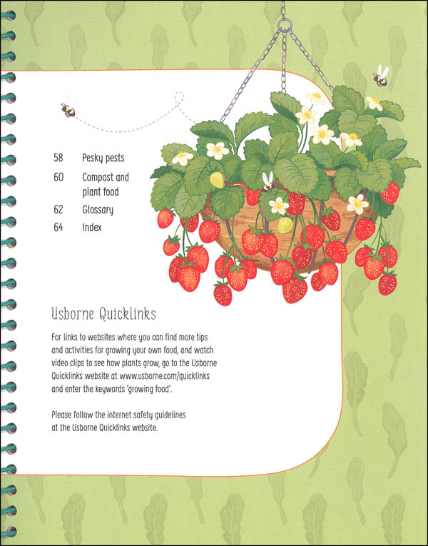 Book Of Growing Food Usborne Gardening For Beginners Edc Usborne 9780794540494