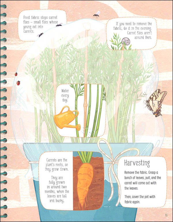 Book of Growing Food (Usborne Gardening for Beginners) EDC / Usborne