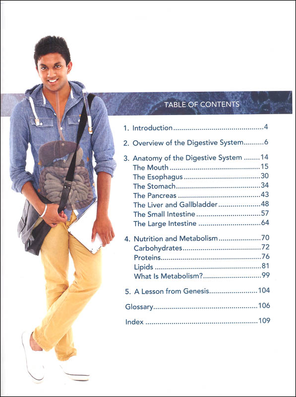 The apelinergic system in the metabolism puzzle essay 08 image