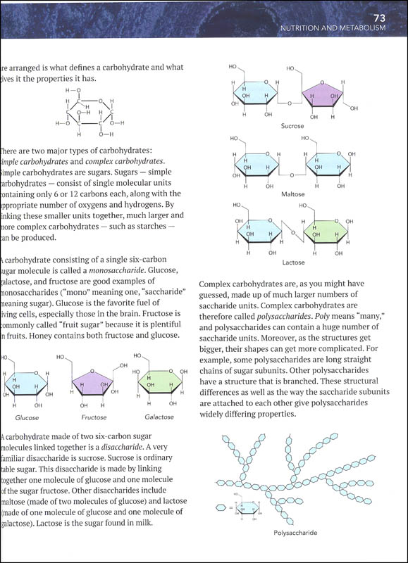 The apelinergic system in the metabolism puzzle essay 06 image