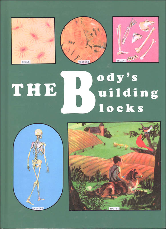 Body's Building Blocks Textbook Workbook - Grades 5-6