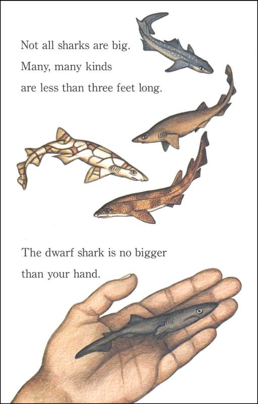 Hungry, Hungry Sharks by Joanna Cole