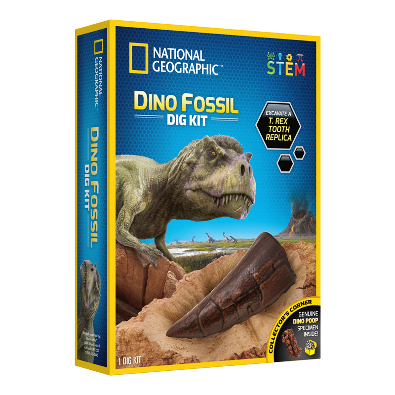 dinosaur dig kit amazon