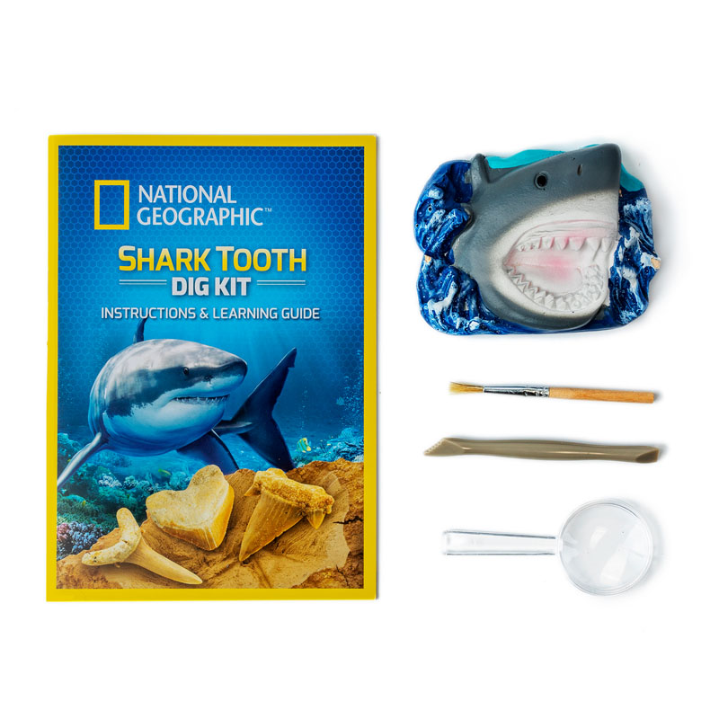 Dig Kit - Shark Tooth Dig Kit (National Geographic) | Dr. Cool