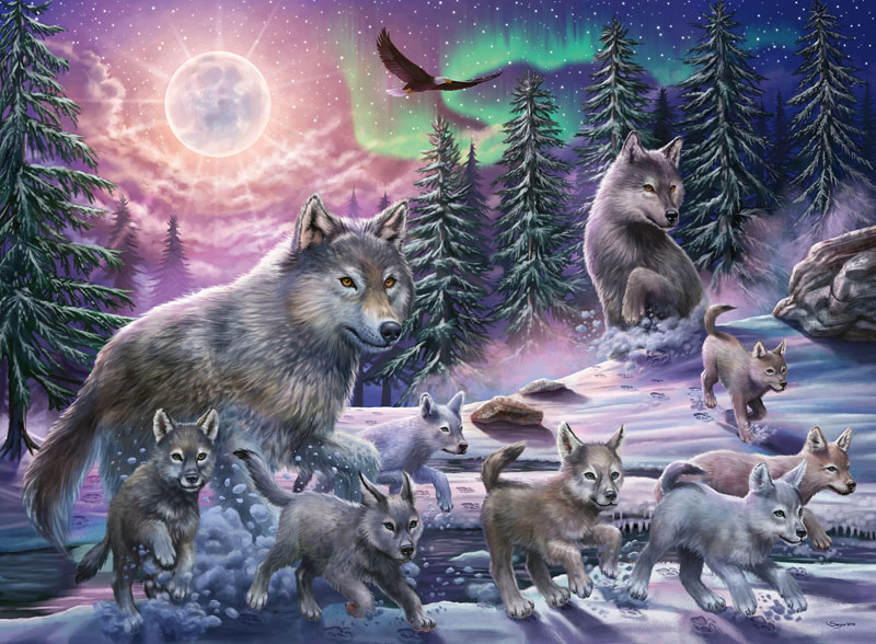 Northern Wolf by Daniel Greene