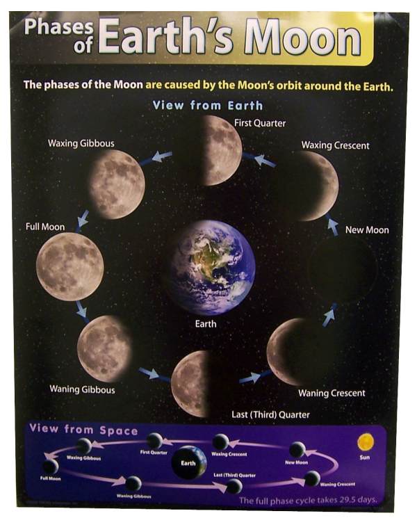 Phases Of Earth S Moon Learning Chart Trend Enterprises