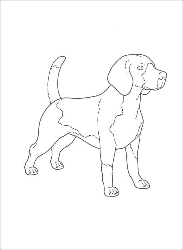 Dogs Draw And Color Creative Haven Dover Publications