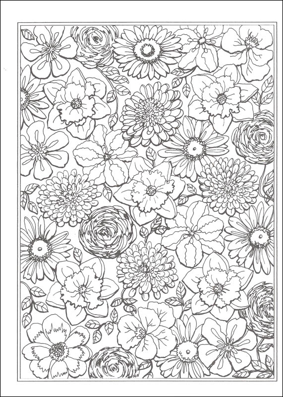 Amazon Com Creative Haven Coloring Books