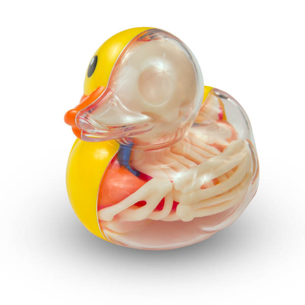 Details about   Rubber Duck female doctor with brown hair Bath Duck 