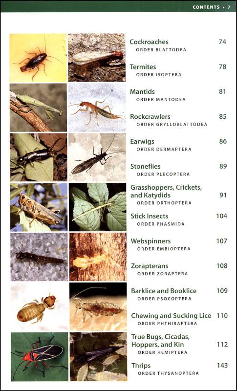 National Wildlife Federation Field Guide: Insects And Spiders Of North 